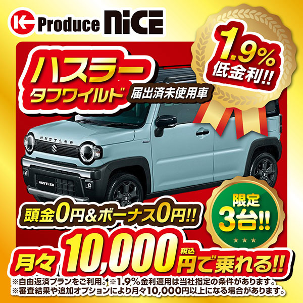 2025おすすめ車 ハスラー